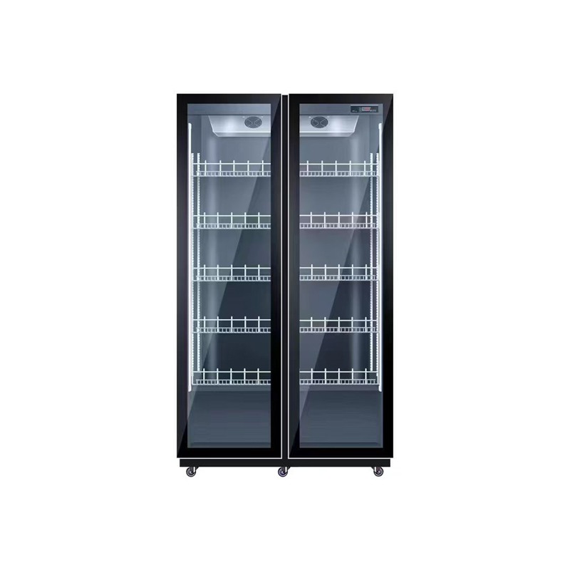 Wine Beer Dual Zone - Frigorifero con raffreddamento ad aria a
